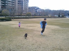 park1.jpg