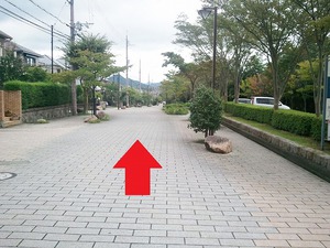 ほっとへの道１.jpg